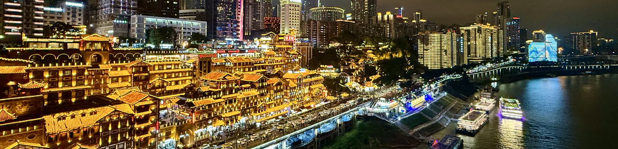 海外域名查询网